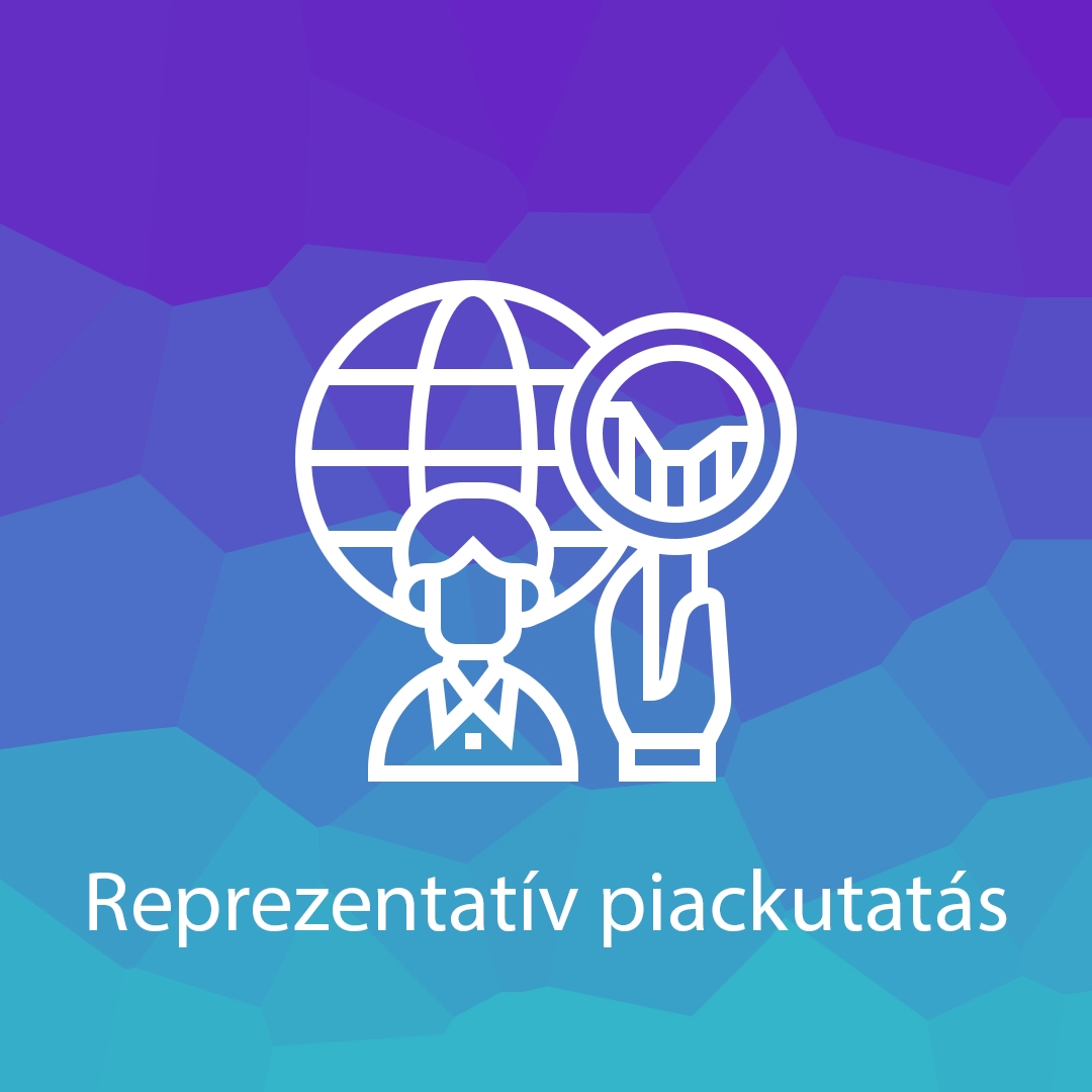 Reprezentatív piackutatás