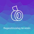 Ragasztószalag tervezés