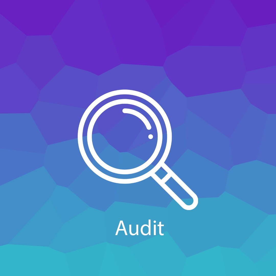 Search console Audit
