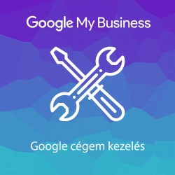 Google cégem kezelés