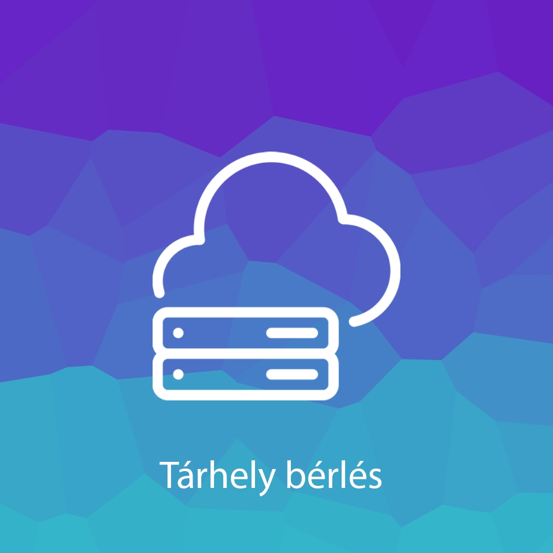 Tárhely bérlés
